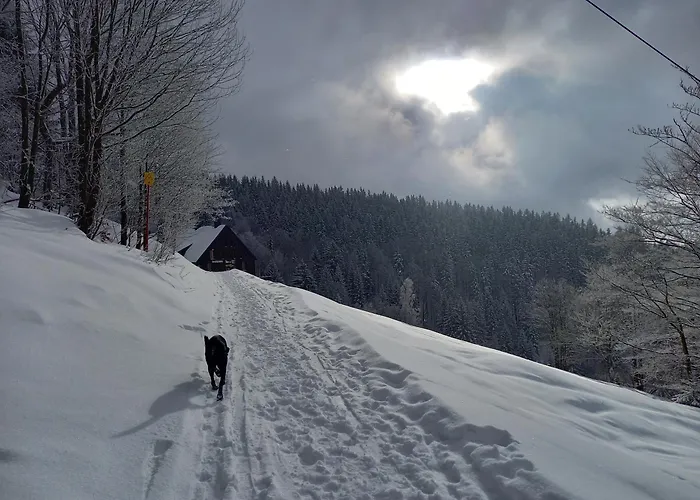 Appartamento Panorama švadlenka *